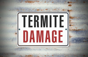 Termite Damage Sign | Pest Control Indiana