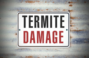 “Termite Damage” text | Arrow Services, Inc. Commercial Termite Treatment