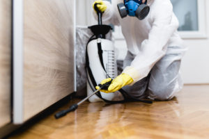 Professional Exterminator | Why You Shouldn’t Do Your Own Pest Control
