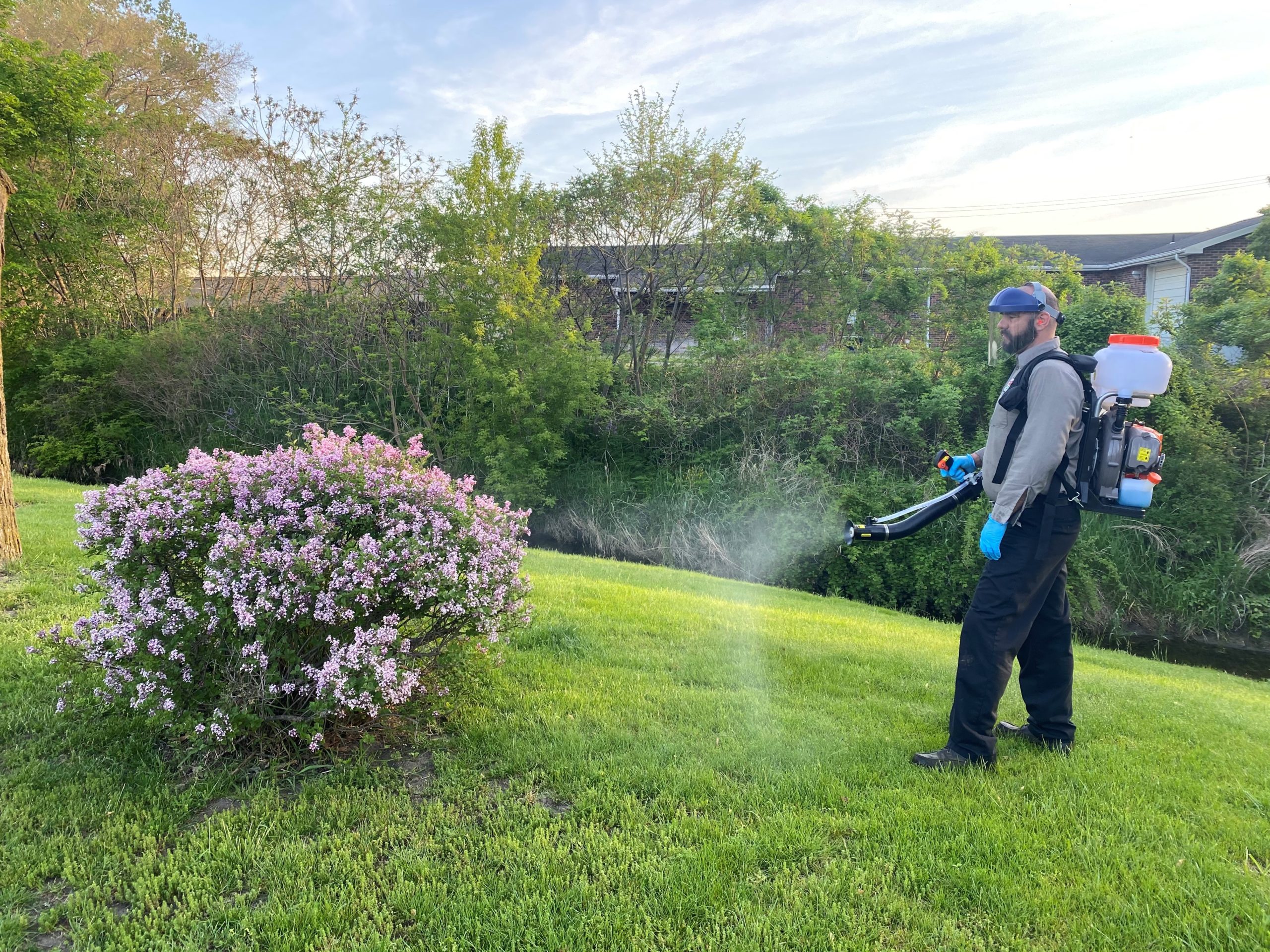 Commercial Mosquito Fogging Services 