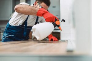 Pest control specialist | Household pests