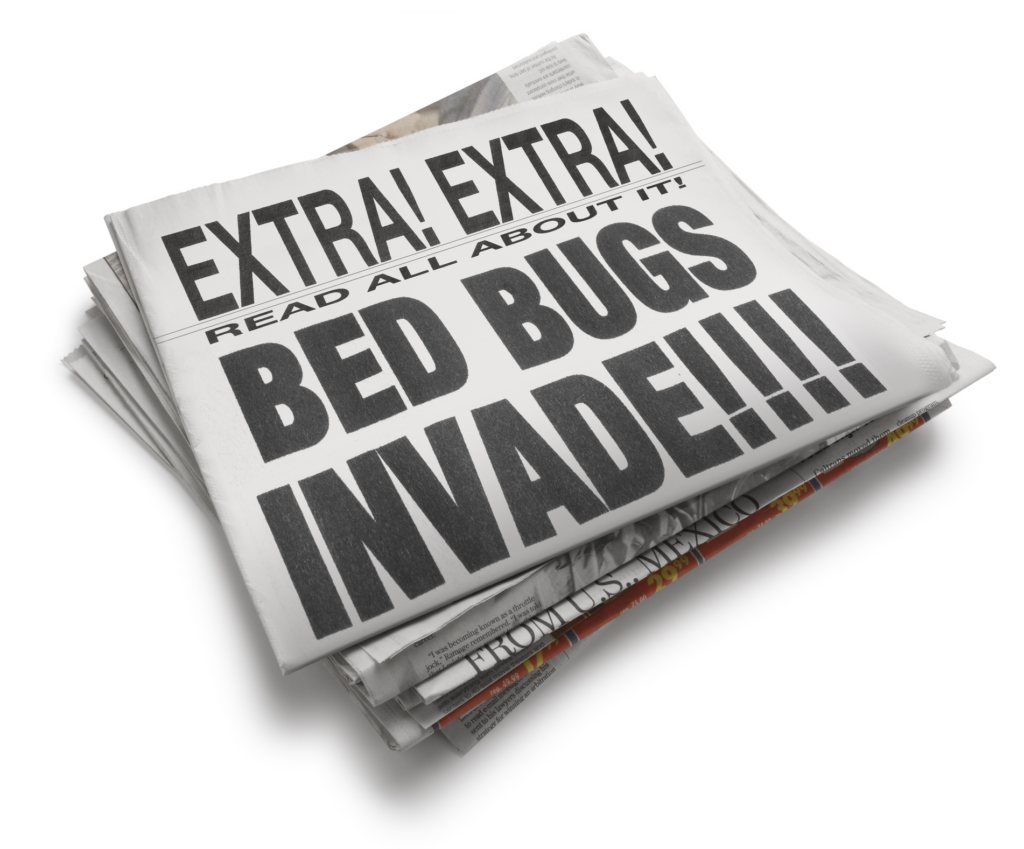 Bed Bug Facts Vs. Myths: What You Must Know