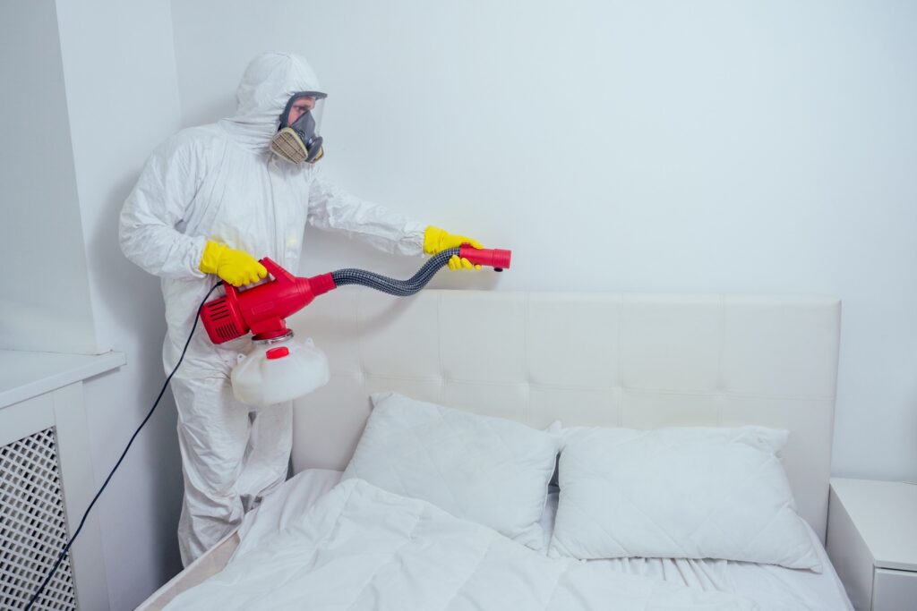 The Health Risks Posed by Bed Bugs at Home