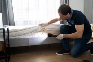 Pest Control Specialist Inspecting a Mattress| How To Prepare for Bed Bug Treatment | Arrow Services, Inc.